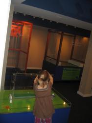 Fun with the exhibits