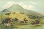 Buffalo Hunt, Chase by George Catlin
