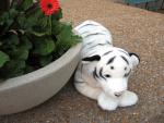 The White Tiger with a Flower
