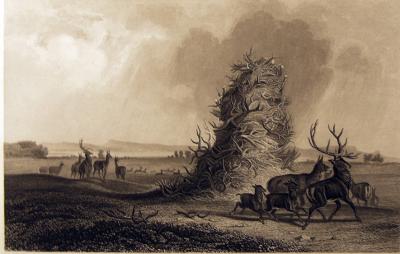 The Elkhorn Pyramid on the Upper Missouri by Karl Bodmer