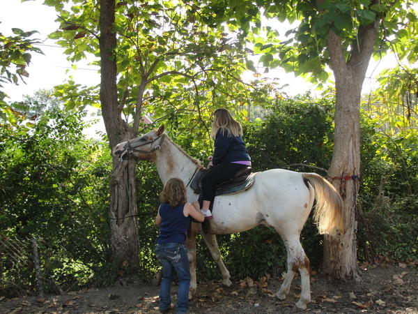 horseback 018