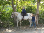 horseback 019