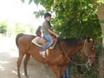 horseback 042