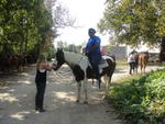 horseback 046