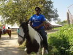 horseback 049