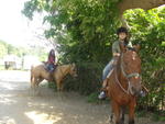 horseback 053